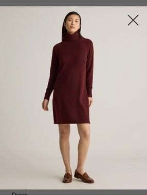 Quince Mongolian Cashmere Turtleneck Sweater Dress Size XS Burgundy